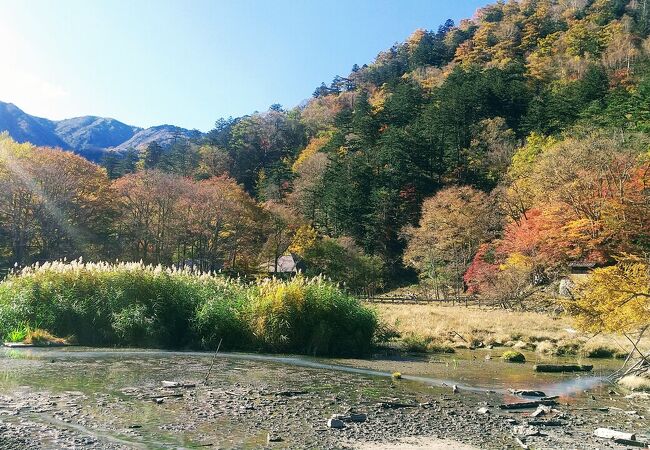 紅葉がきれいでした