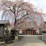 桜がきれいなお寺