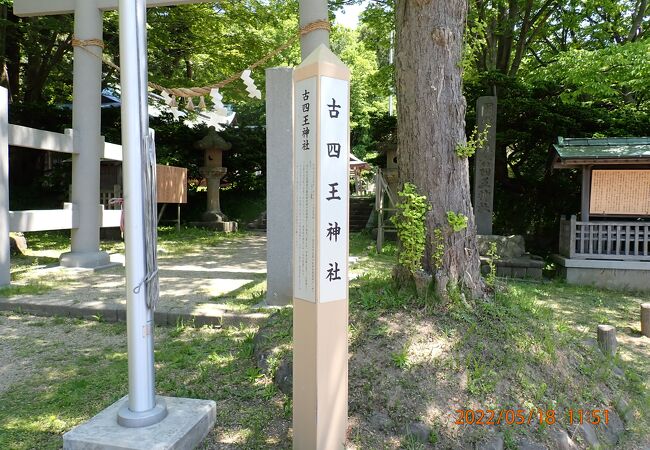 ずいぶん歴史のある神社でした