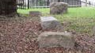 なにゆえ「残念」なのかというと