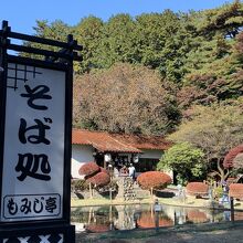 店の前が紅葉で綺麗です。