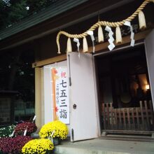 菊の展示会で拝殿の周りは華やかな雰囲気