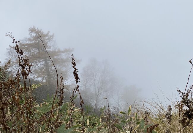 濃霧で何も見えませんでした