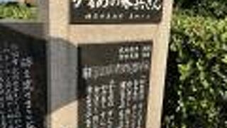 かもめの水平さん