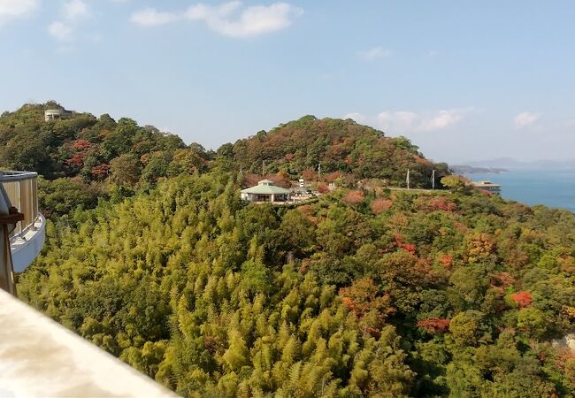 来島海峡大橋を見下ろす展望台