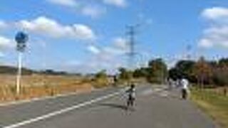 手賀沼自然ふれあい緑道