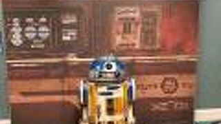 ウィンダム レイク ブエナ ビスタ ディズニー スプリングス エリア