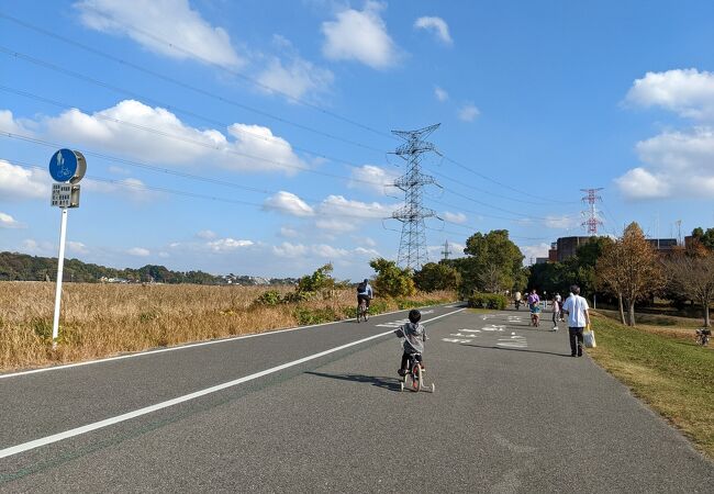 手賀沼周辺を散策できる遊歩道