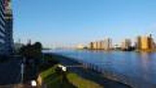 サイクリングにもよい信濃川沿いの道