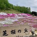 三島さんの芝ざくら庭園