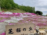 三島さんの芝ざくら庭園