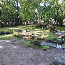 賀茂曲水宴開催の地