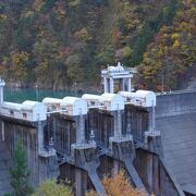 トロッコ電車から見えます