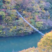 珍百景のひとつでしょう