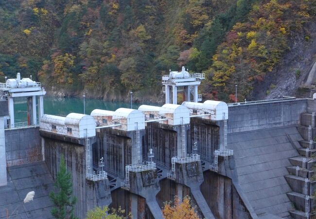 トロッコ電車から見えます