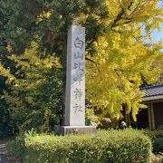 白山神社の総本山