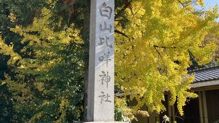 白山神社の総本山