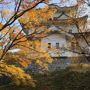 本数は少ないですが紅葉の季節も美しい伊賀上野城