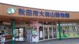 秋田市大森山動物園～あきぎんオモリンの森～
