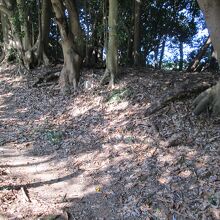 衣笠城本郭土塁