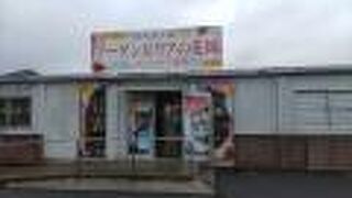 ブーゲンビリア専門の温室です。