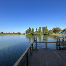 県民公園太閤山ランド