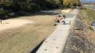 鴨川の河川敷にある整備された公園