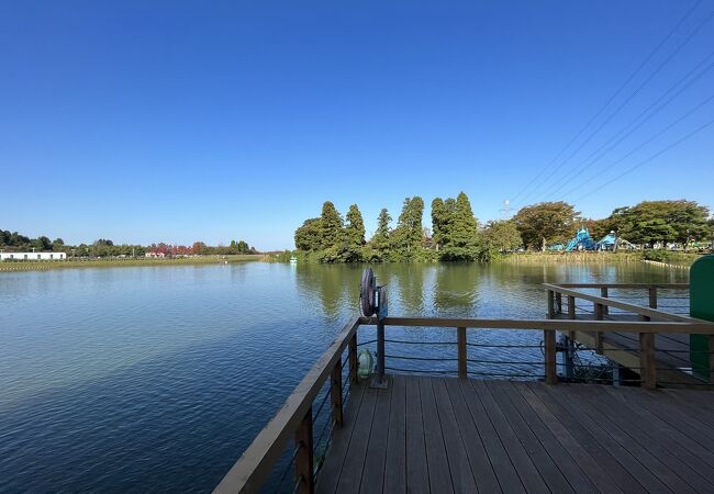 県民公園太閤山ランド