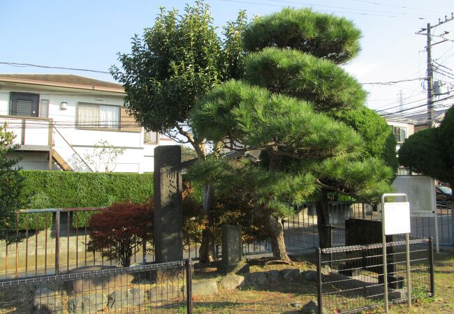 衣笠城址・横須賀散策で三浦大介の腹切り松公園に行きました