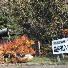 浅虫温泉森林公園