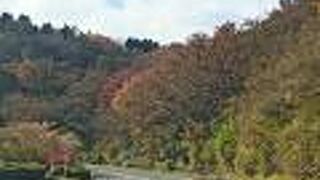 空いていて快適