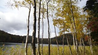 裏オンネトーコースもおすすめ