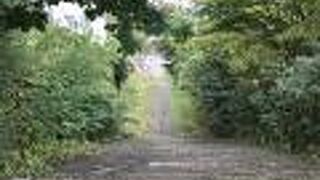 階段が凄すぎる