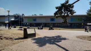 奈良を代表する寺院