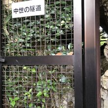 今は使われていない隧道、この右側に安全なトンネルがある