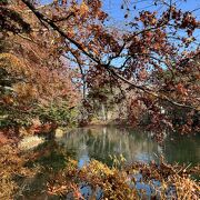 池に映る紅葉がきれい