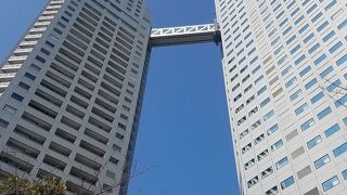 タワーを見上げてみるとやっぱり渡り廊下は怖かった