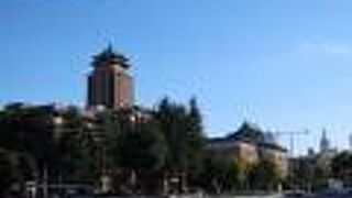 相変わらず威風堂々