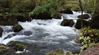 いつ来ても素晴らしい奥入瀬渓流