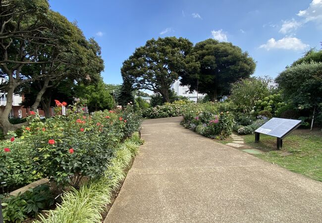 バラが満開の時期に再訪したい