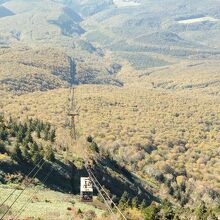 山頂から紅葉のブナ原生林を望む