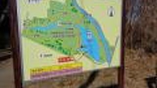 茂林寺の裏にある沼