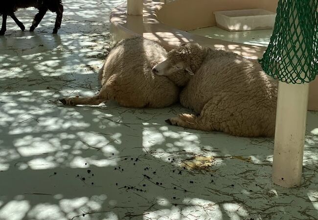 江戸川区自然動物園 クチコミ アクセス 営業時間 葛西 フォートラベル