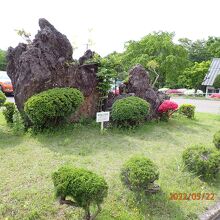 建物前の広場