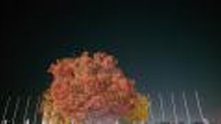 結果的にプチ紅葉ライトアップのような形に