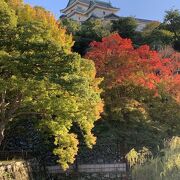 紅葉が綺麗な和歌山城