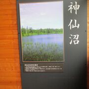 神仙沼の入口