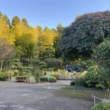 建物から見える日本庭園