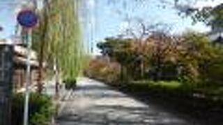 紅葉の頃の白川南通