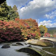 床紅葉が有名なお寺